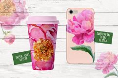 Paradise pink peonies PNG watercolor set Product Image 5