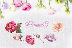 Pink and beige roses PNG watercolor set Product Image 9