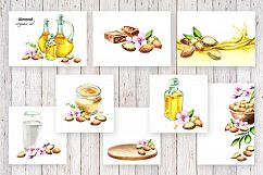 Almonds bundle. Watercolor Product Image 5