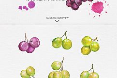 Watercolor Fruits Vol. 2 Product Image 4