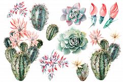 Watercolor SUCCULENTS &amp; CACTUSES Product Image 5