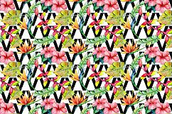 Tropical leaves PNG watercolor set Product Image 3