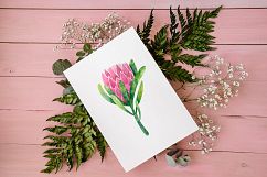 Tropical Watercolor Set Product Image 8