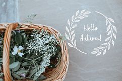 Wreaths, laurels &amp; frames Product Image 5