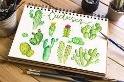 Watercolor Cactus Clipart Product Image 2