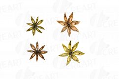 Herbs and Spices clip art pack, Watercolor herbs and spices chart, kitchen herbs, food print. PNG, jpg, svg, vector illustrator &amp;corel files Product Image 18