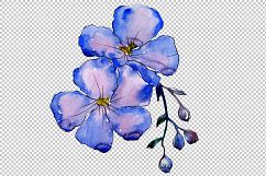 Wildflower blue flax PNG watercolor set Product Image 2
