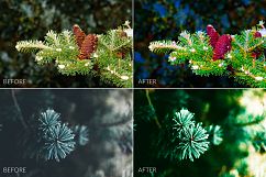 Fir Branches Lr Presets Product Image 8