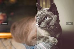 Pet Photoshop Actions Collection Product Image 6