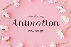 Animation Product Image 1