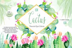 Cactus watercolr clipart collection Product Image 6