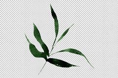 Exotic bamboo PNG watercolor set Product Image 3