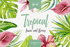 Tropical leaves and flowers Product Image 1
