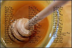 Honey Gradients Product Image 4