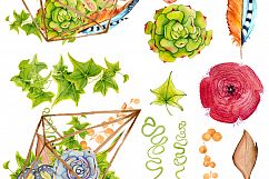 Succulents terrarium creator Vol.1 Product Image 2