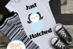 Just Hatched Penguin Product Image 2