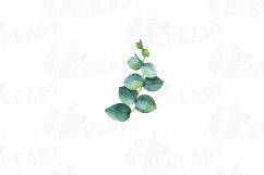 Eucalyptus leaves and branches watercolor clip art pack, Eucalyptus design elements. PNG, jpg, svg, vector illustrator &amp; corel files included Product Image 10
