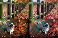 Autumn Lr Presets Product Image 6