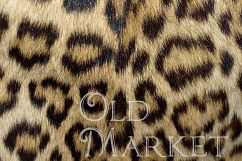 Animal Skin Textures Digital Paper Product Image 3