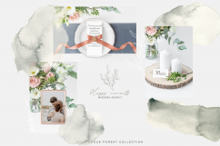CONIFEROUS FOREST Product Image 2