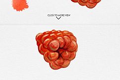 Watercolor Fruits Vol. 3 Product Image 12
