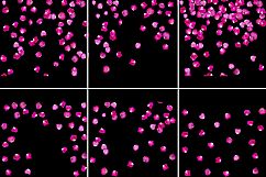 Rose Petal Overlay Product Image 6