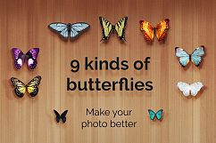 21 Butterflies Photoshop Overlays Product Image 9