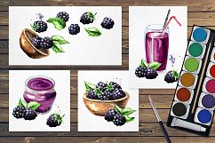 Blackberry. Watercolor collection Product Image 5