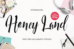 Honey Land Typeface Product Image 1