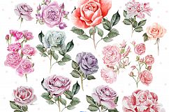 Hand Drawn Watercolor ROSES BUNDLE Product Image 3