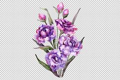 Bouquet of purple peony PNG watercolor set Product Image 1