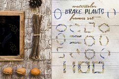 Brake plants PNG watercolor set Product Image 5