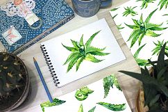 Watercolor aloe vera set Product Image 2