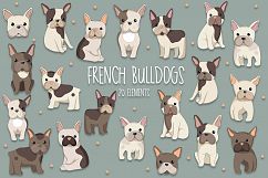 French Bulldogs Product Image 1