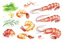 Shrimp bundle. Watercolor Product Image 2