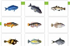 Entire Vintage Collection -Over 1000 Illustrations Product Image 25