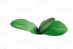 Colourful orchids watercolor clip art pack, leaves, flowers Product Image 16