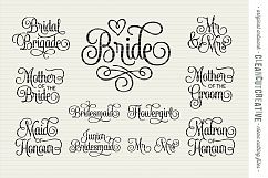 Bridal Party - Wedding Party UK/CA/AU spelling - SET of 11 Product Image 3