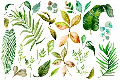 Hand Drawn watercolor Forest Product Image 5