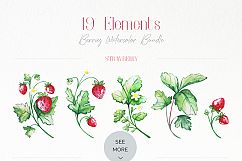 Berries Watercolor Bundle Product Image 5