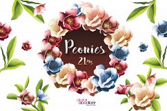 Peonies Product Image 3