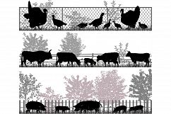 Farm animals Product Image 1