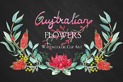 Australian flowers watercolor Product Image 3