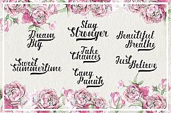 Ardina Script Product Image 2