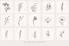 Botanical Illustrations Vol.1 Product Image 2