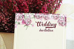 Ardina Script Product Image 3