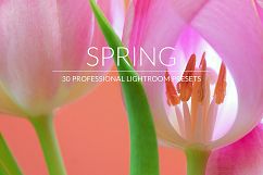 Spring Lr Presets Product Image 1