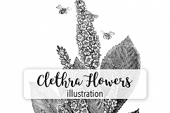 Florals - Vintage Black and White Clethra Flowers Product Image 1