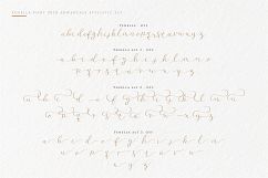 Fenella - Luxury Romantic Font Product Image 9