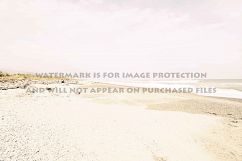 9 Dreamy Pink Beach Photos Product Image 6